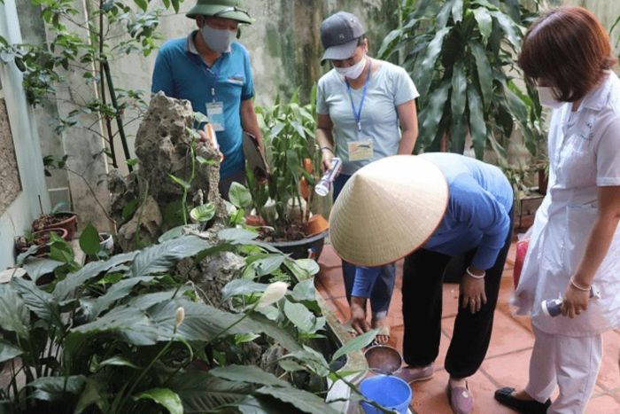Hà Nội tổ chức giám sát tại các khu vực có ca bệnh, ổ dịch sốt xuất huyết.
