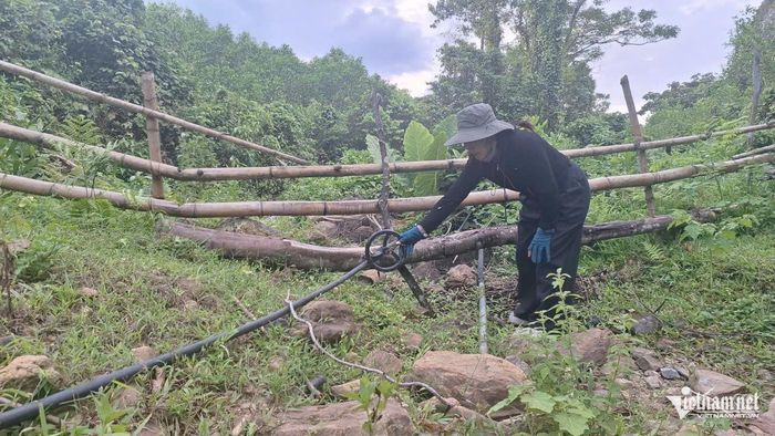 Bà Cao Thị Kiều - Trưởng thôn Hóa Thanh, kiểm tra đường ống dẫn nước tự chảy. Ảnh: Phạm Tiến
