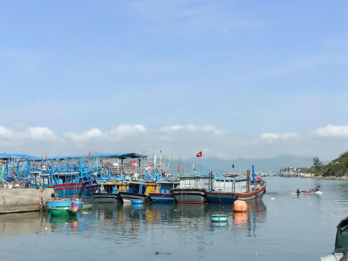  Gia Lai siết quản lý tàu cá trong tháng cao điểm chống khai thác IUU, quyết gỡ ‘thẻ vàng’. Ảnh: T.N
