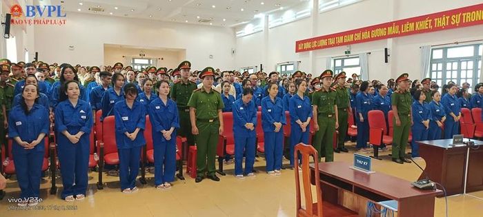 227 bị cáo bị truy tố về các tội: “Vận chuyển trái phép chất ma túy”, “Mua bán trái phép chất ma túy”, “Tổ chức sử dụng trái phép chất ma túy”, “Tàng trữ trái phép chất ma túy”, “Không tố giác tội phạm”, “Che giấu tội phạm”, “Chiếm giữ trái phép tài sản” và “Sử dụng tài liệu giả của cơ quan, tổ chức”.