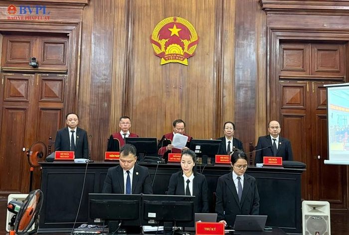 Hội đồng xét xử sơ thẩm vụ án VN10 do Thẩm phán Vũ Thanh Lâm làm chủ tọa.