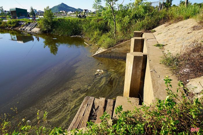 Việc dự án đầu tư dang dở khiến hạ tầng vùng nuôi không đảm bảo, hiệu quả kinh tế mang lại chưa cao.