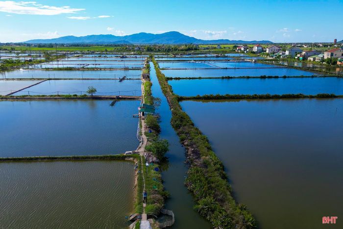 Hạ tầng vùng nuôi hiện đang là điểm nghẽn đối với việc phát triển bền vững, hiệu quả của HTX Nuôi trồng thủy sản Hà Vọoc (phường Trần Phú).