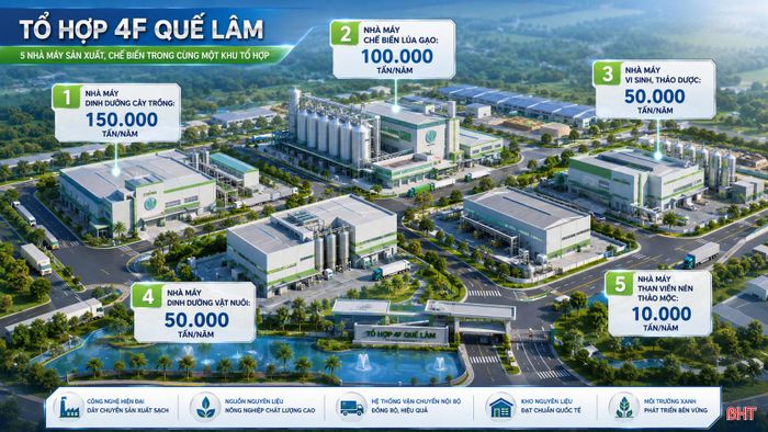 Khu sản xuất – chế biến của tổ hợp dự kiến gồm 5 nhà máy được đầu tư đồng bộ, hiện đại. (Hình ảnh minh họa được tạo bởi AI).