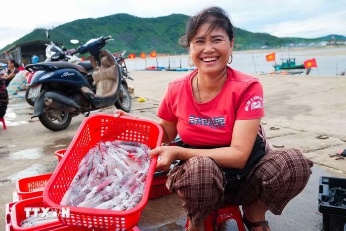 Những mẻ mực tươi ngon là thành quả sau nhiều giờ vươn khơi bám biển của ngư dân Cửa Nhượng. (Ảnh: Hữu Quyết/TTXVN)