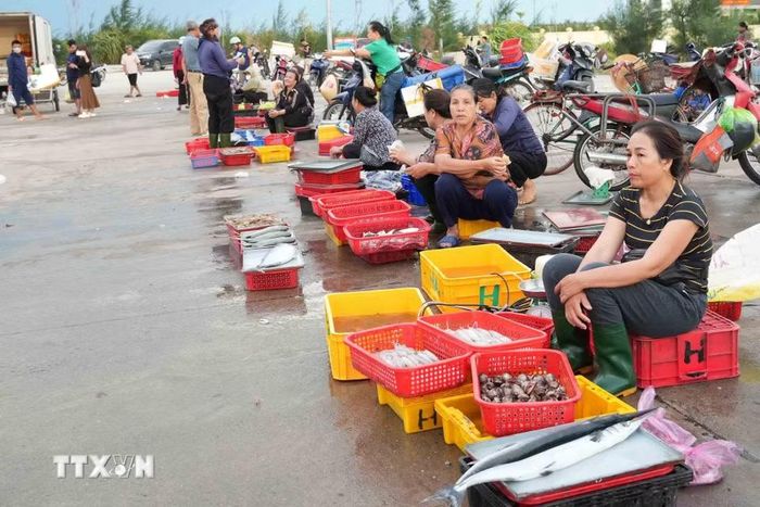 Hoạt động mua bán hải sản tại cảng cá Cửa Nhượng (xã Thiên Cầm, tỉnh Hà Tĩnh). (Ảnh: Hữu Quyết/TTXVN)