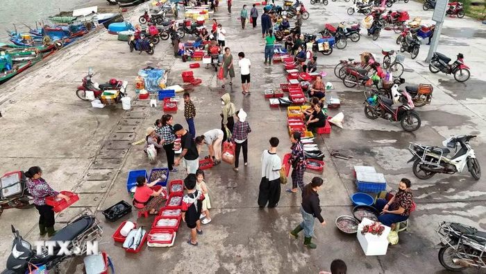 Hoạt động mua bán, thu mua hải sản tại cảng cá Cửa Nhượng. (Ảnh: Hữu Quyết/TTXVN)
