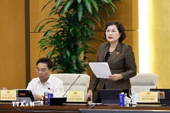 Phó Chủ tịch Quốc hội Nguyễn Thị Hồng phát biểu. (Ảnh: Doãn Tấn/TTXVN)