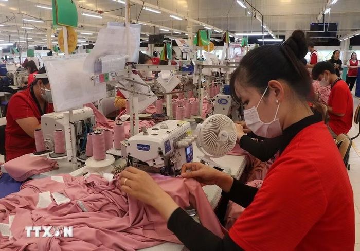 Công nhân ở Khu Công nghiệp Bình Hòa, tỉnh An Giang sản xuất hàng may mặc xuất khẩu. (Ảnh: Lê Huy Hải/TTXVN)
