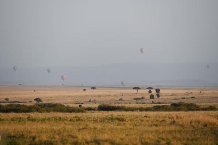 Quang cảnh khu bảo tồn quốc gia Maasai Mara ở Kenya, ngày 14/8/2026. (Ảnh: THX/TTXVN phát)