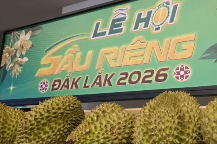 Lễ hội sầu riêng Đắk Lắk 2026. (Ảnh: Cổng Thông tin Điện tử Đắk Lắk)