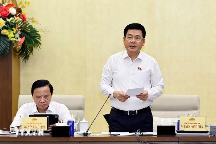 Phó Chủ tịch Quốc hội Nguyễn Hồng Diên phát biểu. (Ảnh: Doãn Tấn/TTXVN)