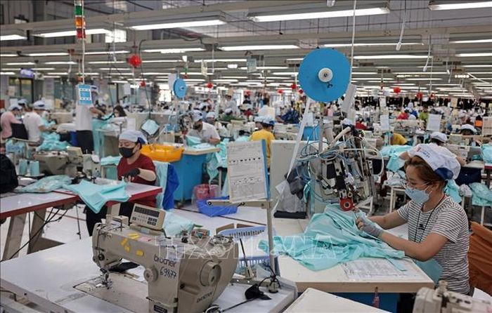 Công ty May Tiến Thuận (Tổng Công ty Cổ phần May Việt Tiến) Phan Rang, tỉnh Khánh Hòa đầu tư nhiều máy móc hiện đại để gia tăng sản lượng và chất lượng sản phẩm. Ảnh: Trần Việt/TTXVN