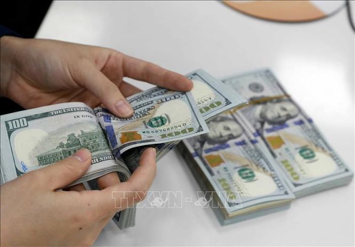 Thị trường ngoại tệ trong phiên đầu tuần ghi nhận xu hướng tăng. Ảnh minh họa: Trần Việt/TTXVN