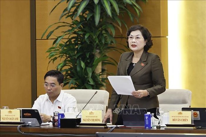Phó Chủ tịch Quốc hội Nguyễn Thị Hồng phát biểu. Ảnh: Doãn Tấn/TTXVN