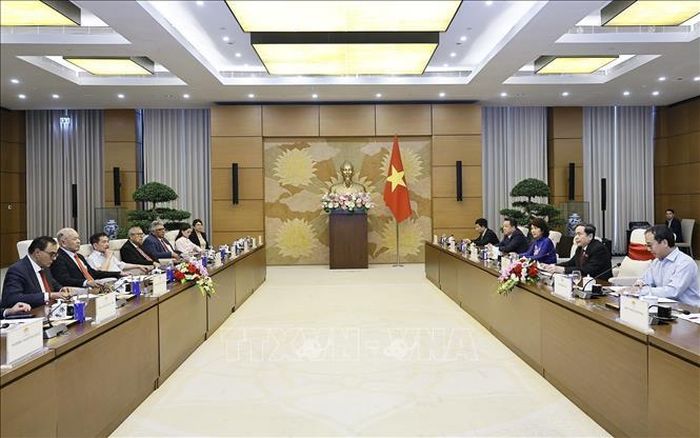 Chủ tịch Quốc hội Trần Thanh Mẫn tiếp Thượng nghị sĩ Alberto Anaya Gutiérrez, Tổng Bí thư Đảng Lao động Mexico. Ảnh: Doãn Tấn/TTXVN