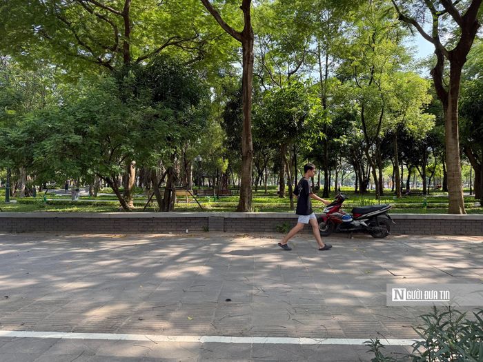 Tại trục đường Thành Thái - tuyến phố chạy dọc theo cổng chính của Công viên Cầu Giấy - đã có sự thay đổi lớn kể từ khi hạ bỏ hàng rào công viên. Vỉa hè dọc tuyến đường được lát gạch phẳng, sạch sẽ, không có tình trạng nhếch nhác hay lấn chiếm lòng lề đường làm nơi kinh doanh tự phát, đảm bảo không gian ưu tiên cho người đi bộ, tạo tiền đề thuận lợi để hình thành một không gian văn hóa cộng đồng chất lượng cao.