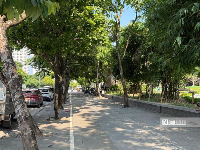 Theo ghi nhận của phóng viên, tại các tuyến phố dự kiến nằm trong không gian thí điểm phố đi bộ, hạ tầng cơ bản khá khang trang, đường phố sạch sẽ, thông thoáng, tạo điều kiện thuận lợi cho việc tổ chức các hoạt động văn hóa, vui chơi và trải nghiệm của người dân.