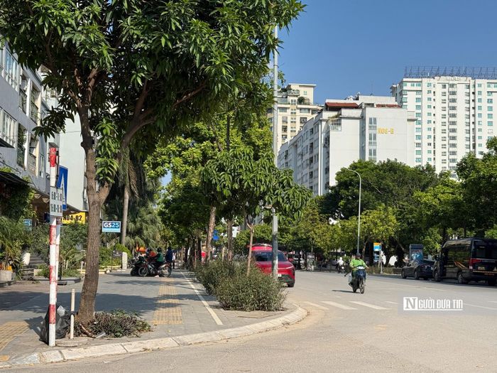 Theo Đề án, tuyến phố đi bộ dự kiến được tổ chức tại trục phố Thành Thái và phố Khúc Thừa Dụ, hoạt động vào các tối cuối tuần, ngày lễ và những đợt cao điểm trong năm.