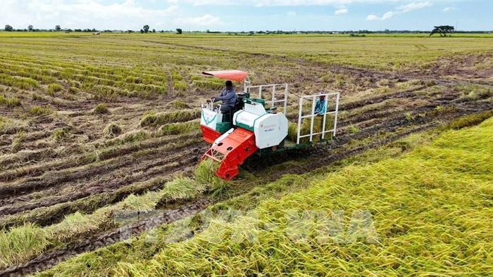 Cơ giới hóa thông minh giúp nâng cao hiệu quả sản xuất và khả năng thích ứng. Ảnh minh họa: Thu Hiền - TTXVN