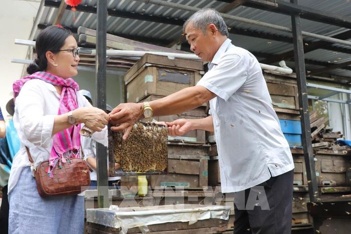 Du khách trải nghiệm cầm cầu ong. Ảnh: Nguyễn Hằng - TTXVN