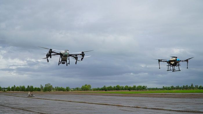 Nhiều hộ dân sử dụng drone nâng cao kỹ thuật canh tác