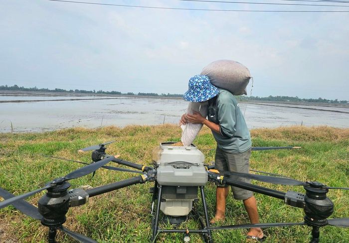 Sử dụng drone để sạ lúa, phun thuốc