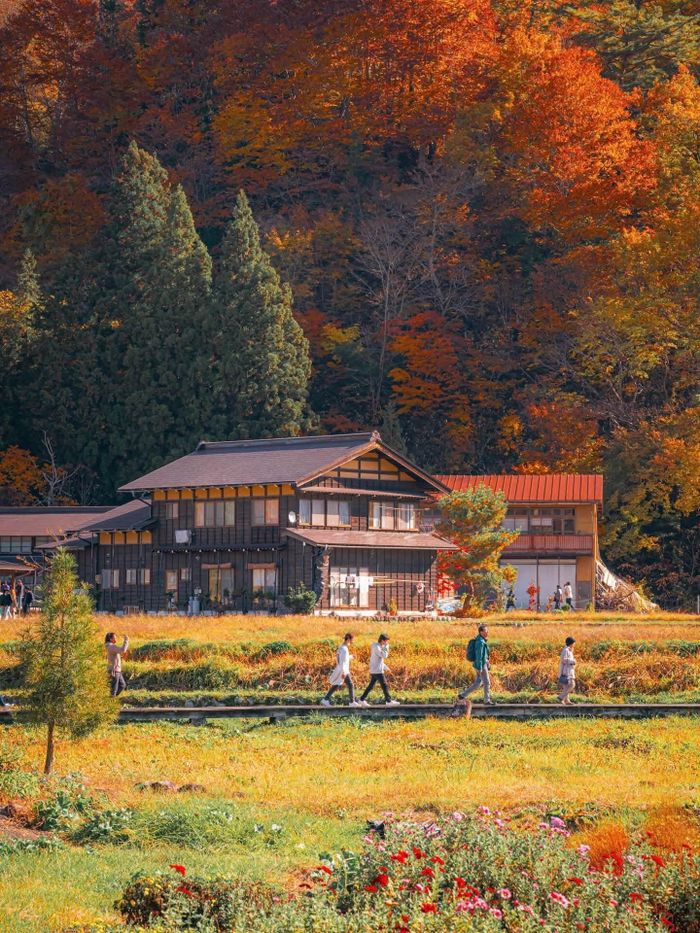 Shirakawa-go đẹp như tranh vẽ. Ảnh: getyourguide