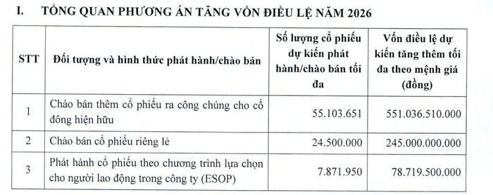 Kế hoạch phát hành cổ phiếu của Fecon. Nguồn: Fecon