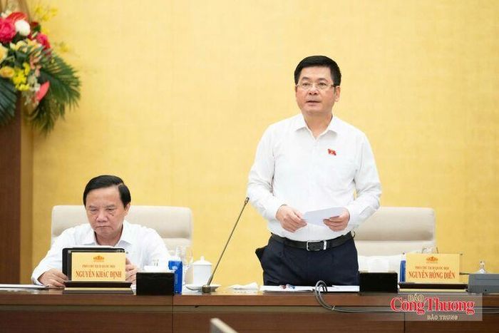 Phó Chủ tịch Quốc hội Nguyễn Hồng Diên phát biểu kết luận phiên họp.