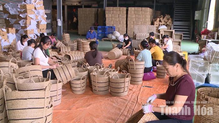 Công nhân Công ty CP Sản xuất chế biến Cói xuất khẩu Việt Anh (xã Nga An) trong ca sản xuất.