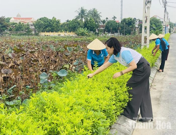 Hội viên phụ nữ thôn Yên Ninh, xã Nga Sơn chăm sóc hàng rào xanh.