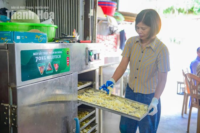 “Một mùa tôi thu mua khoảng hơn 15 tấn củ mài tươi. Khoảng 5kg tươi mới được 1kg khô”, bà Hoa cho biết. Từ những củ mài tươi, qua nhiều công đoạn, sản phẩm khô được đóng gói đưa ra thị trường.