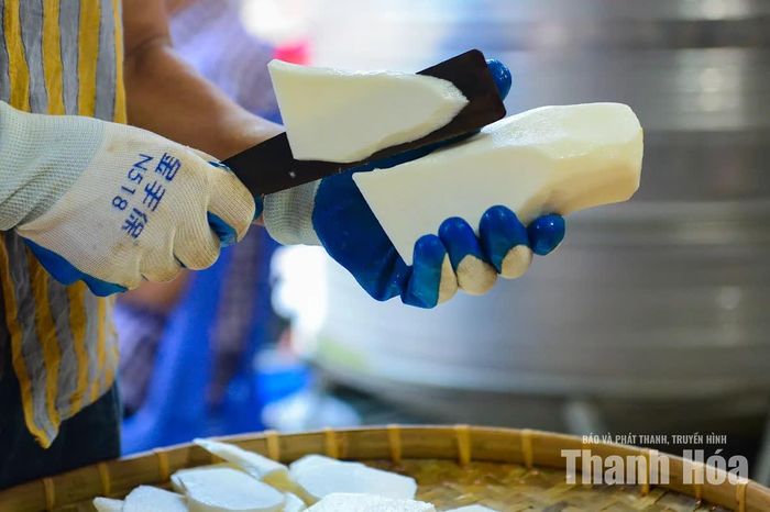 Củ mài sau khi thu mua được đưa về sơ chế ngay trong ngày. Người lao động phải rửa sạch, gọt vỏ, thái lát trước khi đưa vào máy sấy. Nếu để qua ngày, củ dễ chảy nhựa, đổi màu, ảnh hưởng chất lượng.