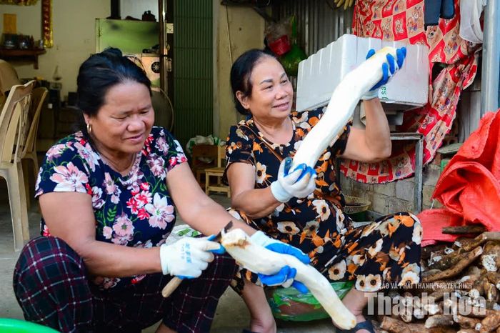 Vào mùa cao điểm, cơ sở của bà Hoa phải thuê khoảng 10 lao động làm việc từ 19 giờ đến 24 giờ để kịp sơ chế lượng củ thu mua trong ngày.