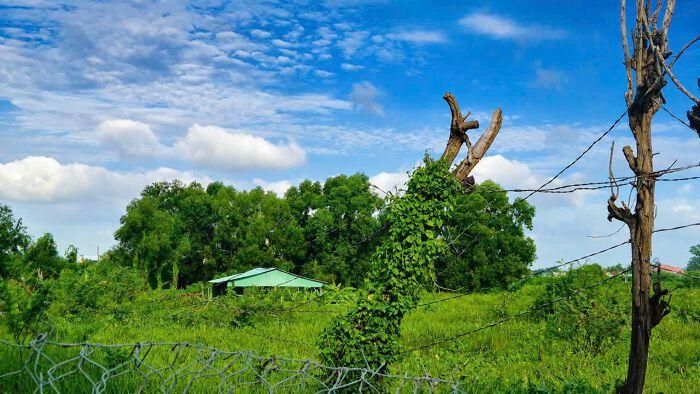  Công ty Hiệp Hòa chưa triển khai xây dựng công trình trong tại Khu dân cư và tái định cư Hiệp Hòa