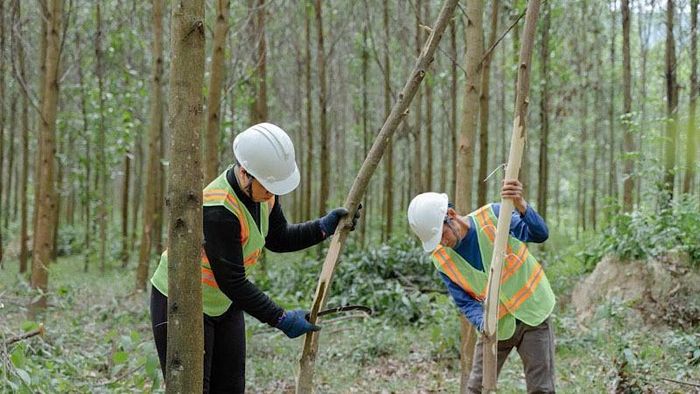 Những vấn đề thiết thực liên quan trực tiếp đến lợi ích người lao động, được đề cập thẳng thắn tại nghị trường Quốc hội. Ảnh minh họa/Vũ Thành/GIZ