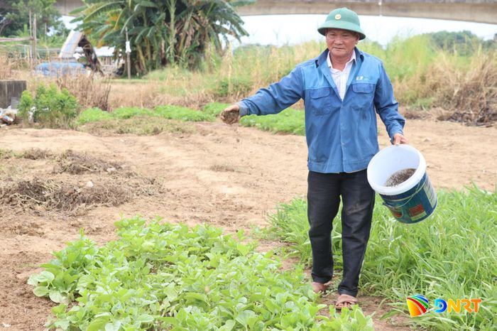 Phân hữu cơ vi sinh không chỉ nhiều dinh dưỡng mà còn phục hồi hệ vi sinh vật có lợi trong đất. TRONG ẢNH: Nông dân bón phân hữu cơ vi sinh cho cây trồng. Ảnh: HỮU ANH