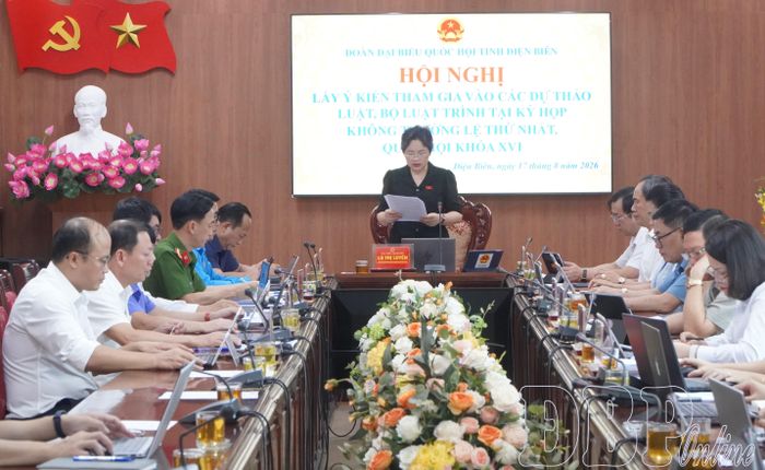 Phó Trưởng đoàn chuyên trách Đoàn ĐBQH tỉnh Lò Thị Luyến phát biểu tại hội nghị.