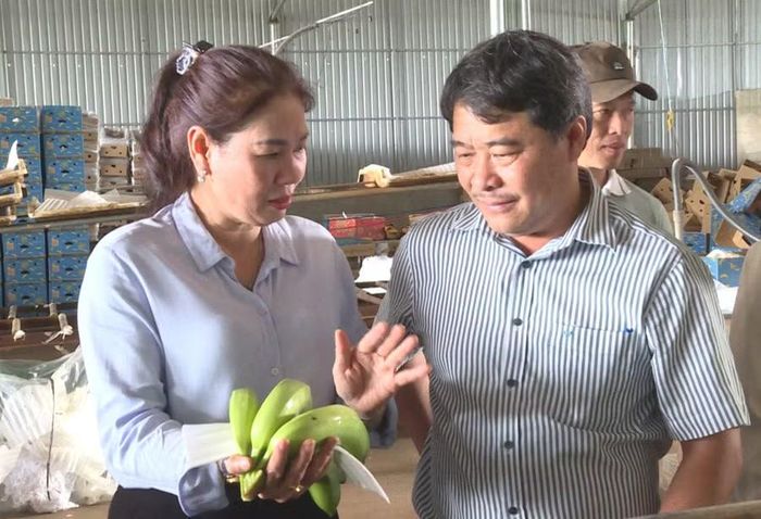  Phó Chủ tịch HĐND tỉnh Huỳnh Thúy Vân (bên trái) thăm quy trình sơ chế chuối. Ảnh: Đức Hải 