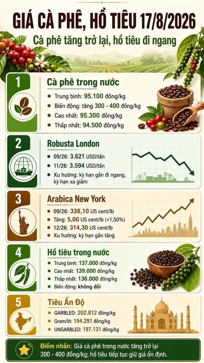 Infographic (AI).