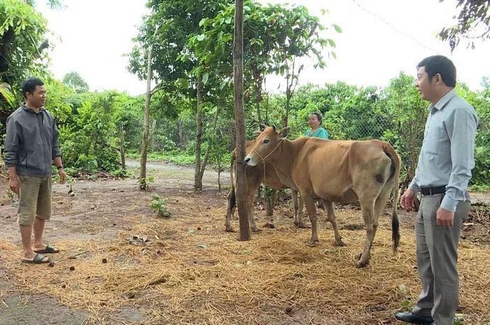  Cùng với hỗ trợ sinh kế, xã Al Bá chú trọng hướng dẫn người dân làm chuồng trại và kỹ thuật chăn nuôi. Ảnh: P.D 