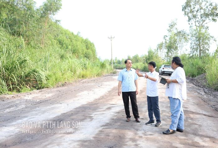Đoàn khảo sát kiểm tra hiện trạng tại một số khu vực dự kiến hình thành không gian trưng bày mẫu vật địa chất ngoài trời