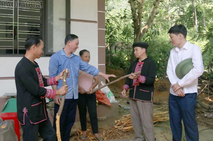 Ông Triệu Phúc Thanh tuyên truyền, vận động các hộ trong thôn đẩy mạnh trồng quế, nâng cao đời sống.