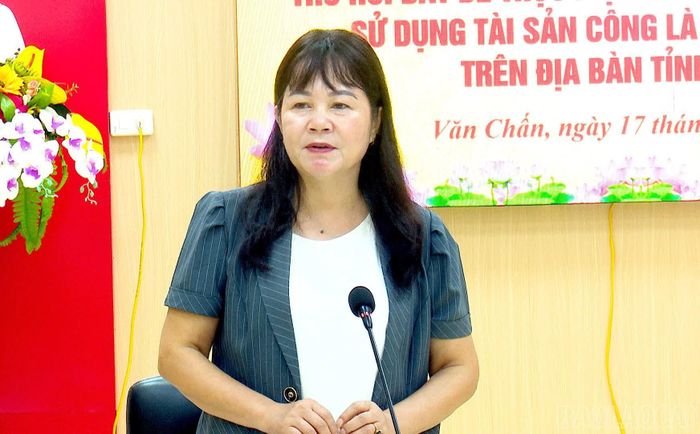Đồng chí Phó Chủ tịch HĐND tỉnh Hoàng Thị Thanh Bình phát biểu tại buổi làm việc.
