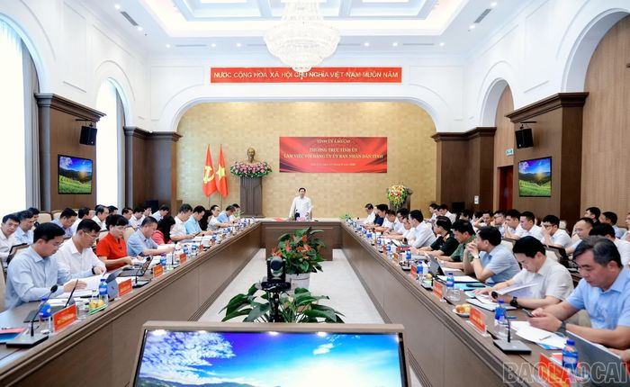 Quang cảnh buổi làm việc.