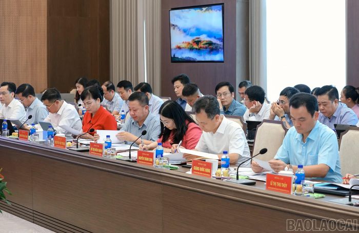 Các đại biểu dự buổi làm việc.