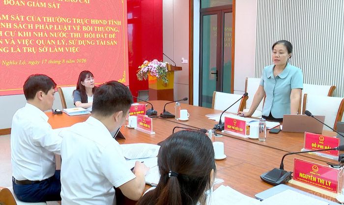 Thành viên Đoàn giám sát của HĐND tỉnh đề nghị chính quyền giải trình, làm rõ vướng mắc trong thực hiện quản lý, sắp xếp và xử lý cơ sở nhà, đất dôi dư sau sắp xếp đơn vị hành chính.