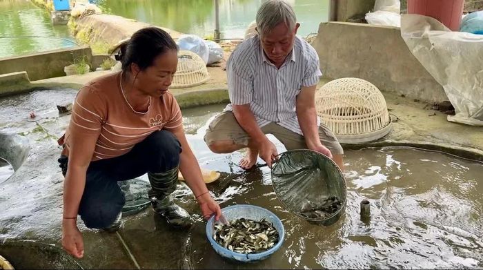 Nghề nuôi trồng thủy sản đang tạo thêm sinh kế, nâng cao thu nhập cho người dân địa phương.