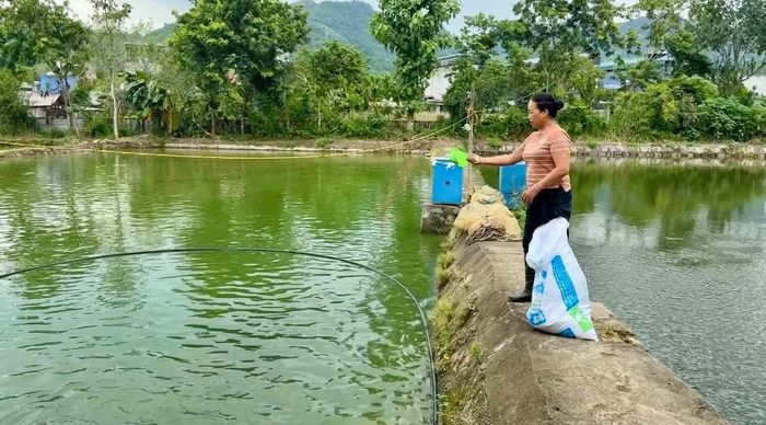 Chi phí đầu vào tăng khiến nhiều hộ gặp khó trong sản xuất.